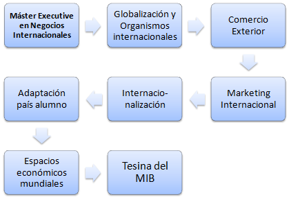 Máster (Master) en Negocios Internacionales MIB