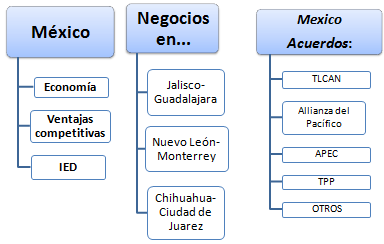 Curso Online Negocios en México