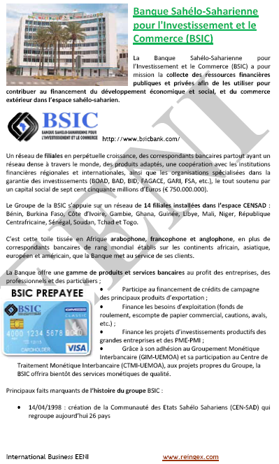 Cours Master : Banque Sahélo-Saharienne Investissement