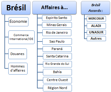 Master : affaires au Brésil
