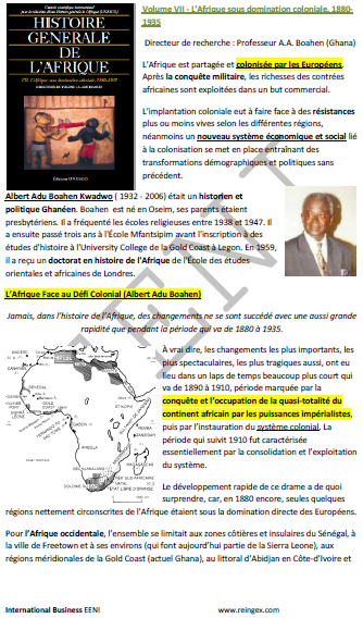 Histoire Afrique Domination coloniale