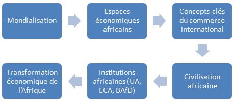 Institutions africaines (licence Afrique, L1-1)