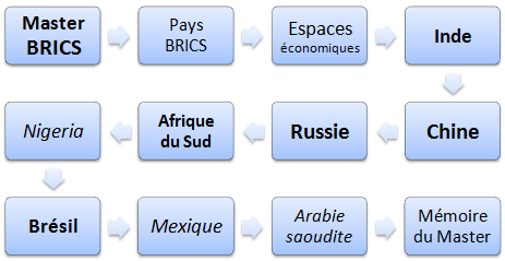 Master affaires dans les Pays du BRICS