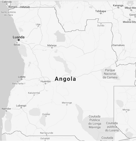 Comercio Exterior y Negocios en Angola (Máster)