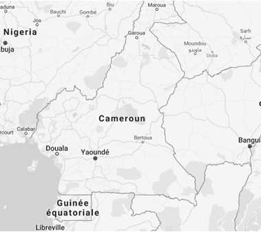 Negócios nos Camarões (Mestrado comércio exterior)