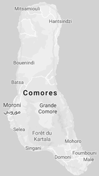 Negocios en las Comoras, Moroni. Comercio exterior comorense. Vainilla: 75% exportaciones de las Comoras