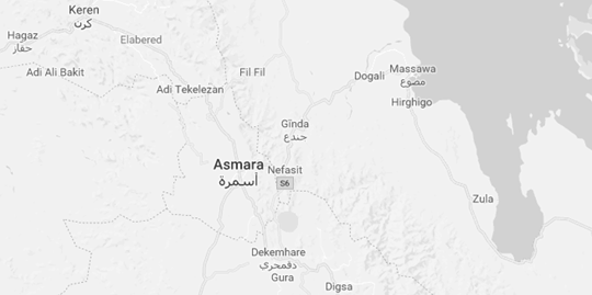 Comerç Exterior i Negocis a Asmara (Eritrea)