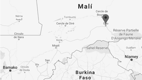 Comércio Exterior e Negócios em Gao, Mali, mestrado