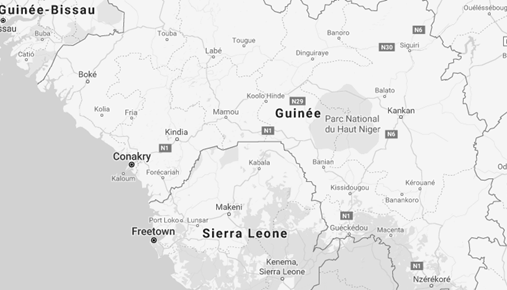 Study Online in Guinea