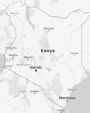 Kenia, Nairobi, Kisumu, Puerto de Mombasa, Nakuru (Negocios, Comercio Exterior)
