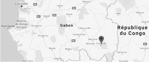 Gabon: road Libreville-Franceville