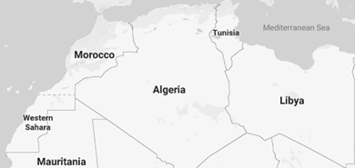 Negócios no Magrebe (Argélia, Líbia, Marrocos, Mauritânia, Tunísia) Comércio Exterior
