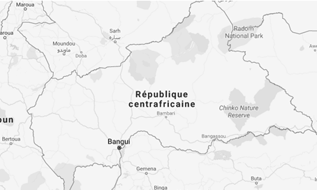 República Centro-Africana, Bangui, Bimbo, Mbaiki, Berbérati (Negócios, Comércio Exterior)