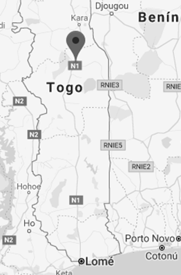 Foreign Trade and Business in Sokodé (Togo, Master, Doctorate)