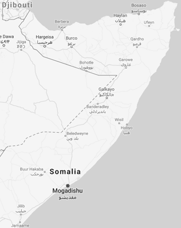 Comercio Exterior y Negocios en Somalia