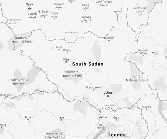 Educació superior online al Sudan del Sud