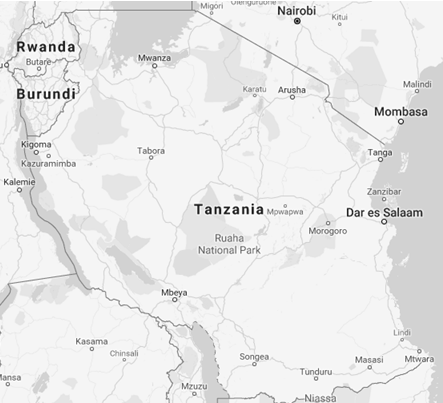 Negócios na Tanzânia (Comércio Exterior)