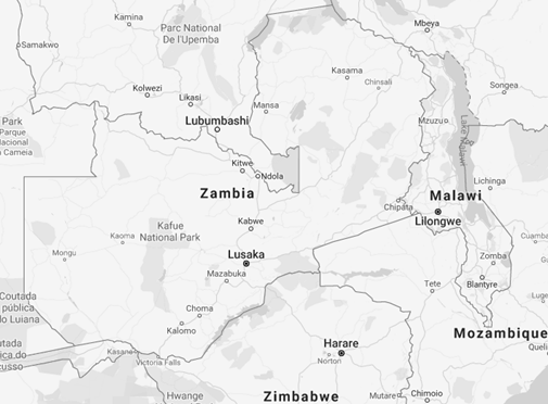 Comerç Exterior i Negocis a Zàmbia, Lusaka (Màster)