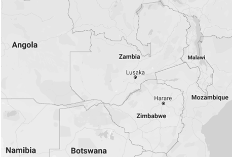 Comerç Exterior i Negocis a Zimbàbue (Màster)