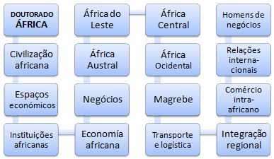 Doutoramento a distância em Negócios em África